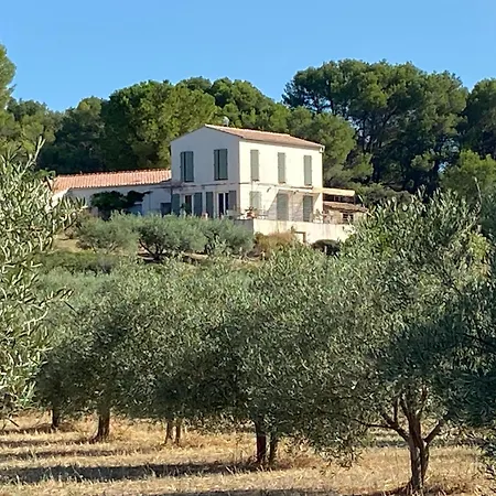 Mas De L'archange Montagnac (Herault)